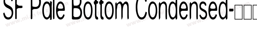 SF Pale Bottom Condensed字体转换
